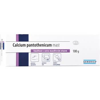 Generica Calcium pantothenicum ointment 100 g