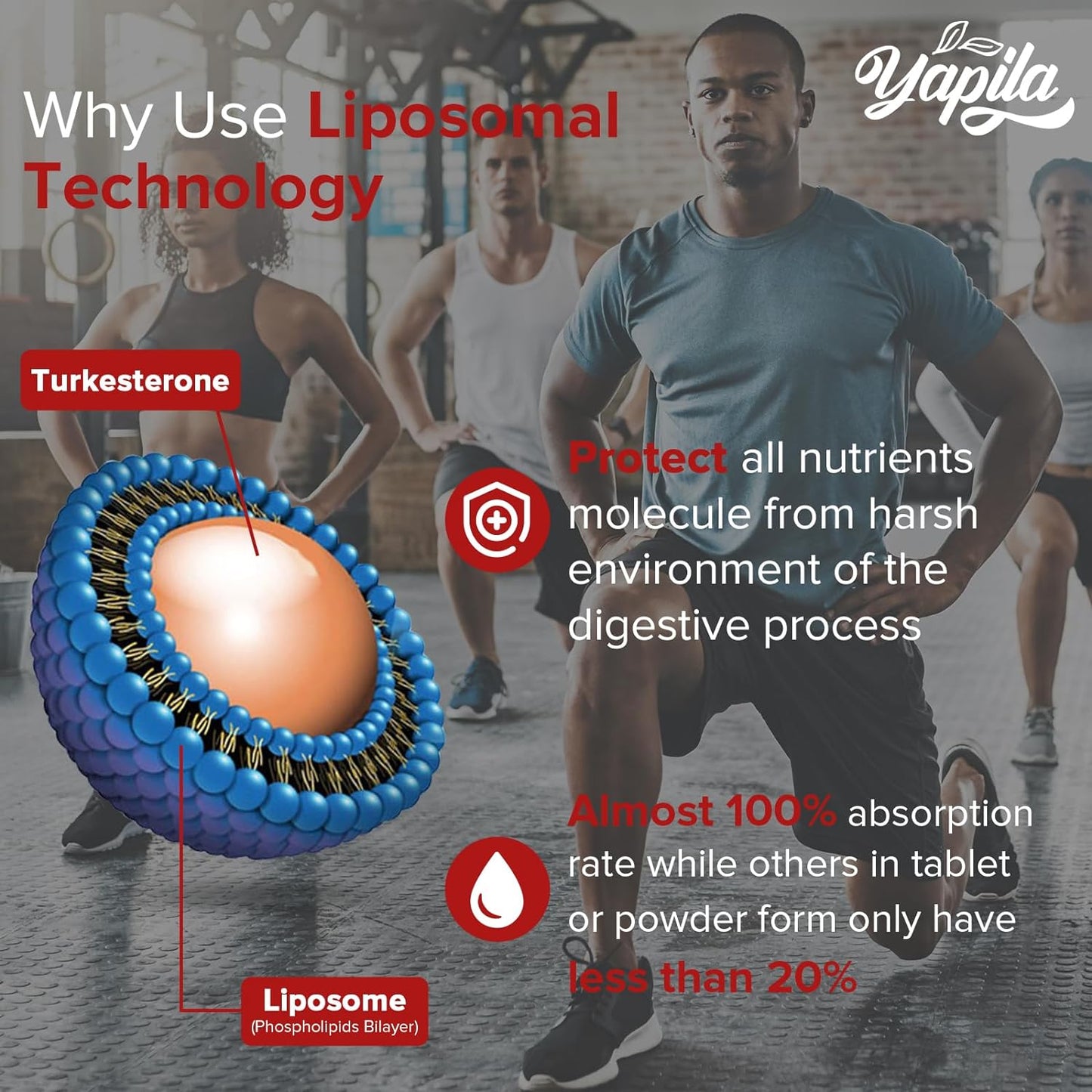 Liposomal Yapila Turkesterone 1500 mg - 120 softgels (pack of 2x60)