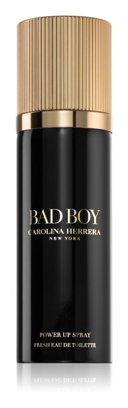 Carolina Herrera Bad Boy eau de toilette for men 100 ml