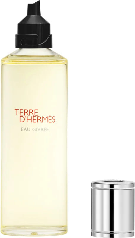 HERMÈS Terre d'Hermès Eau Givrée Eau de Parfum for Men Refill 125 ml