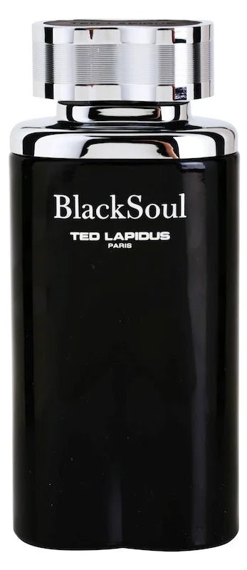 Ted Lapidus Black Soul eau de toilette for men 100 ml