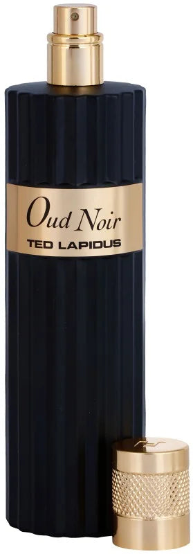 Ted Lapidus Oud Noir Eau De Parfum 100 ml