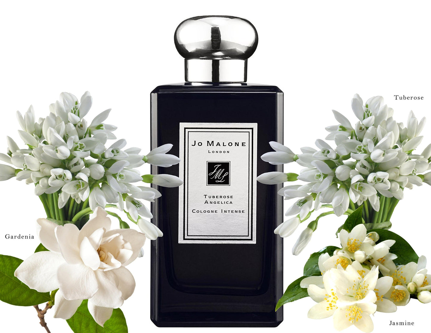 Jo Malone Cologne Intense Tuberose Angelica